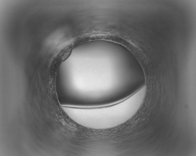 X0000051251351200506170831