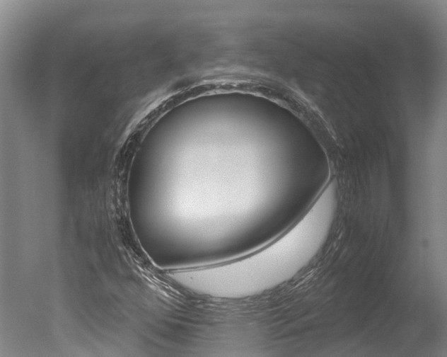 X0000051251352200506170831