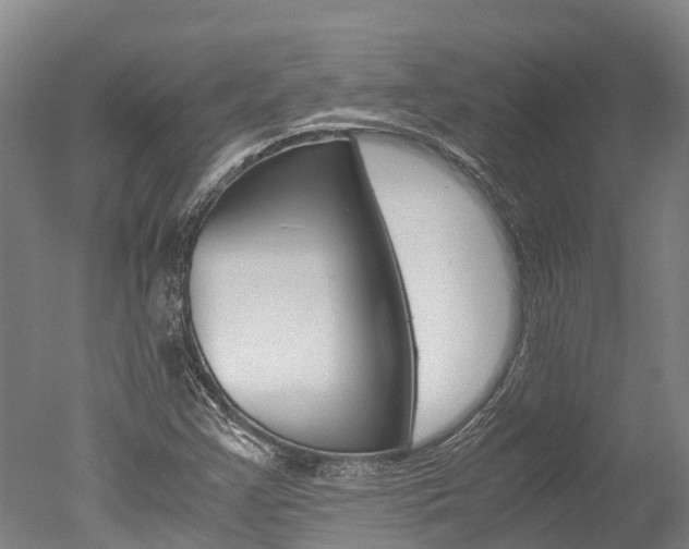 X0000051251355200506170831