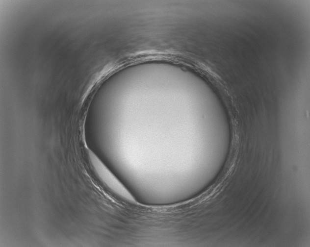 X0000051251357200506170831