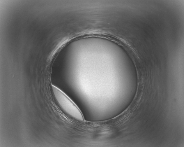 X0000051251359200506170831