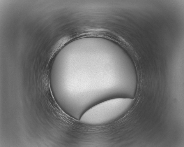 X0000051251362200506170831