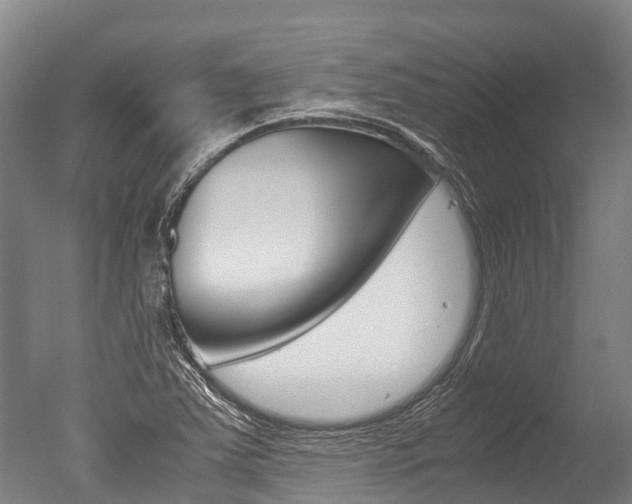 X0000051251363200506170831