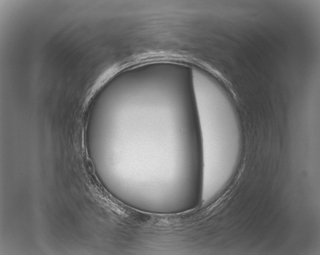 X0000051251365200506170831