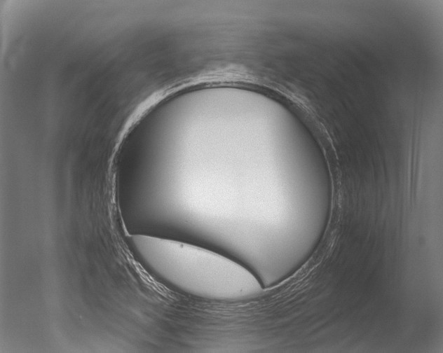 X0000051251366200506170831