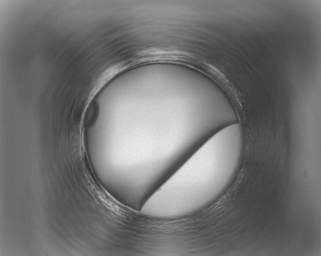 X0000051251370200506170831