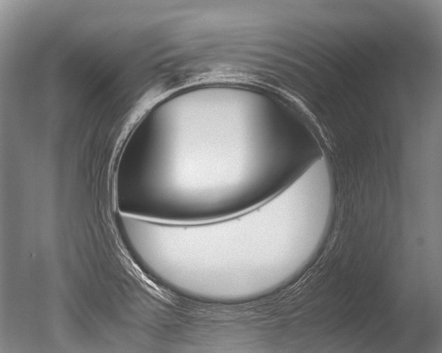 X0000051251371200506170831