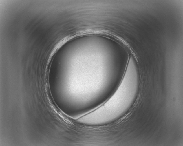 X0000051251373200506170831