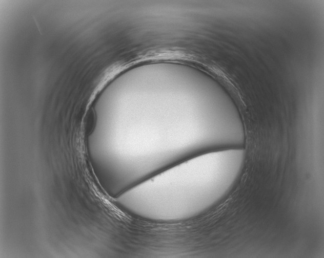 X0000051251374200506170831