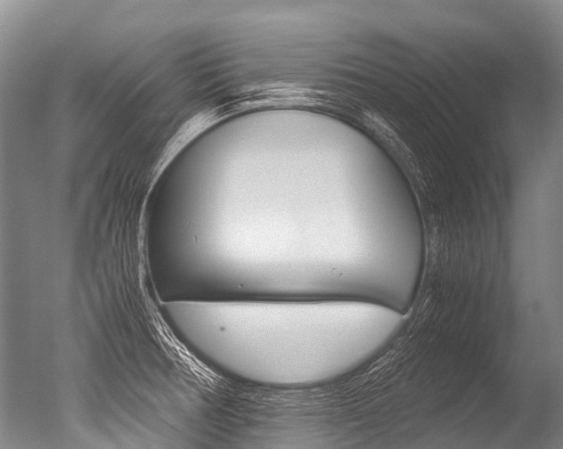 X0000051251378200506170830