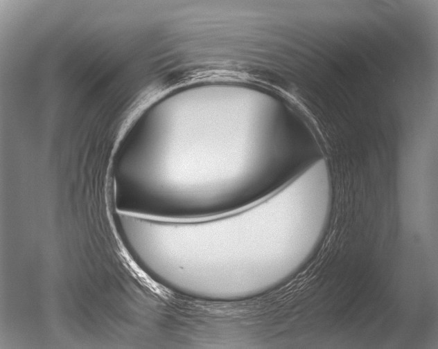 X0000051251379200506170830