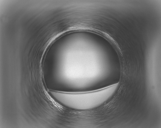 X0000051251380200506170830