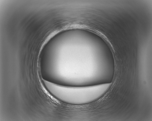X0000051251381200506170830