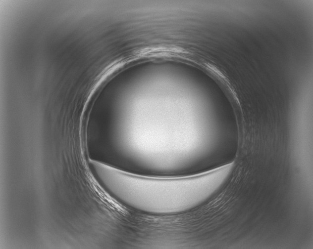 X0000051251384200506170830