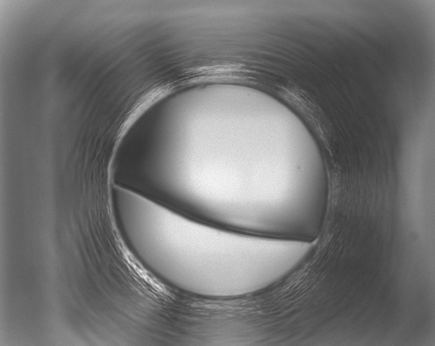 X0000051251386200506170830