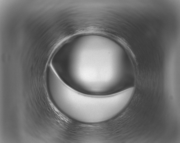 X0000051251388200506170830