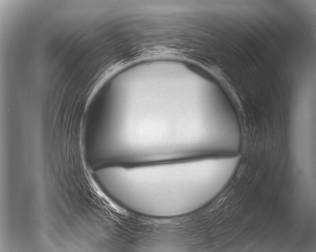 X0000051251390200506170830