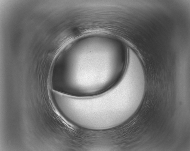 X0000051251391200506170830