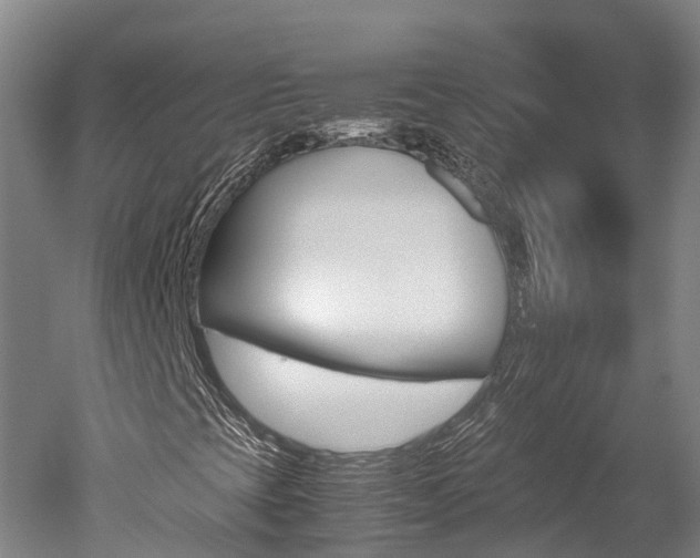 X0000051251393200506170829