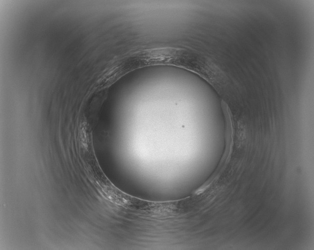 X0000051251394200506170829