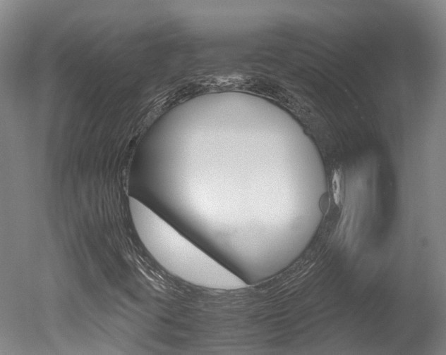 X0000051251395200506170829