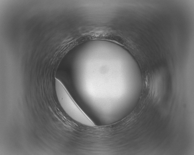 X0000051251396200506170829