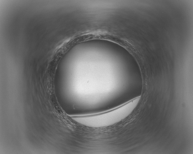 X0000051251398200506170830