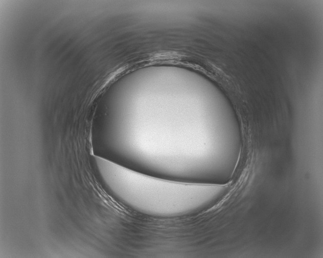X0000051251401200506170830