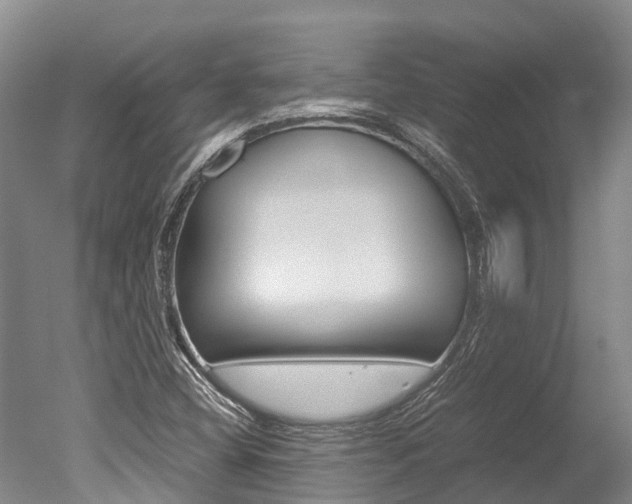 X0000051251404200506170830