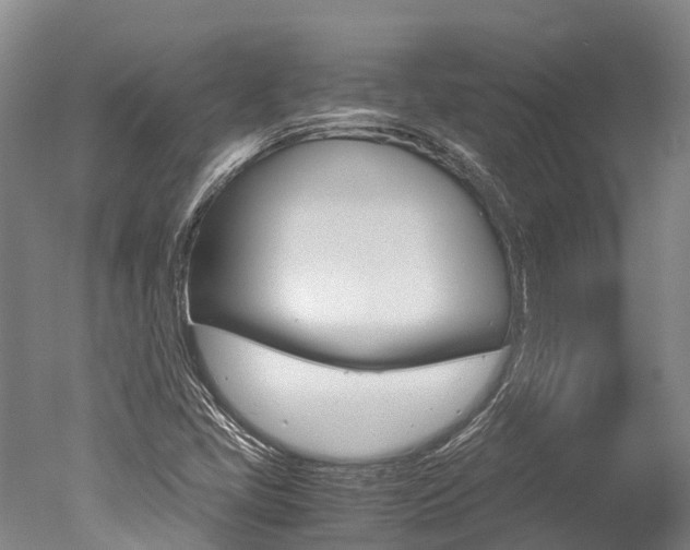 X0000051251405200506170830