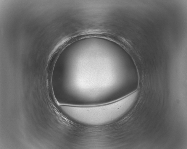X0000051251406200506170830
