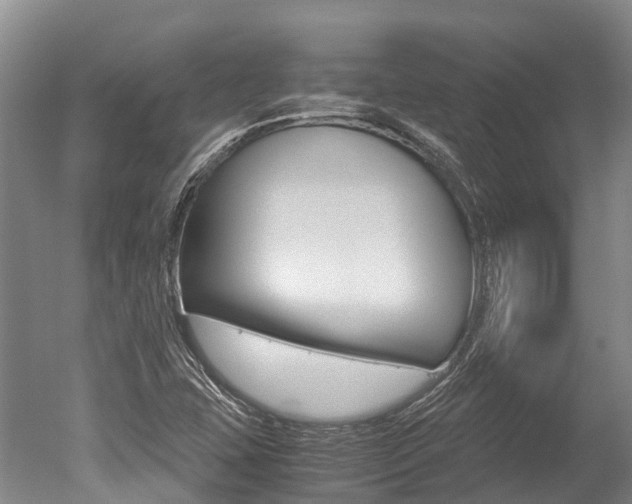X0000051251407200506170830