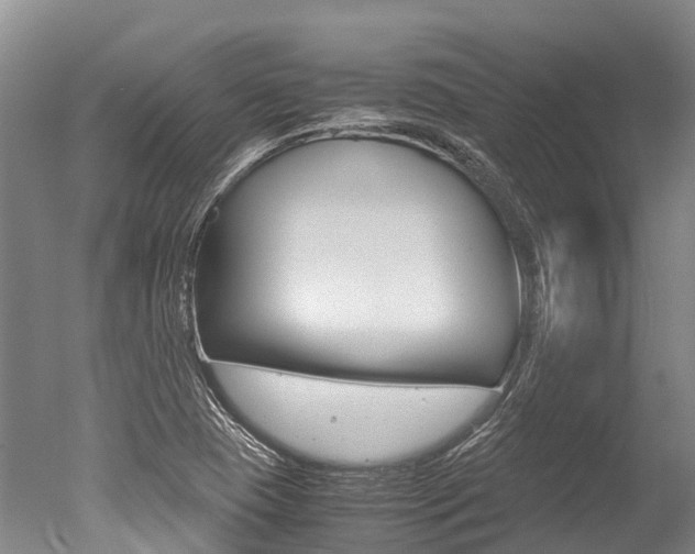 X0000051251409200506170830