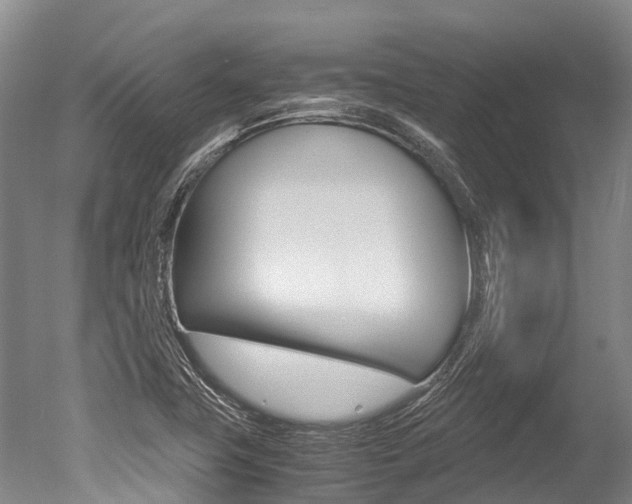X0000051251411200506170830