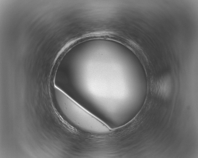 X0000051251412200506170830