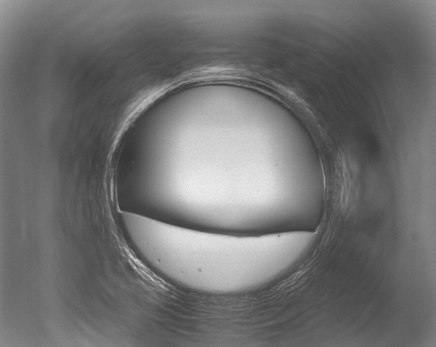 X0000051251413200506170830