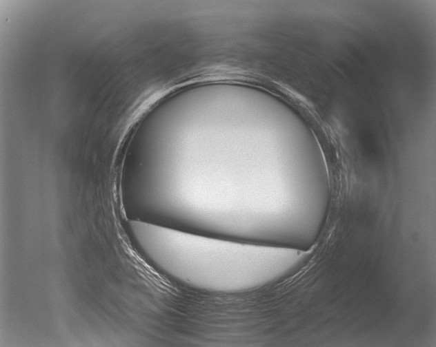X0000051251415200506170830