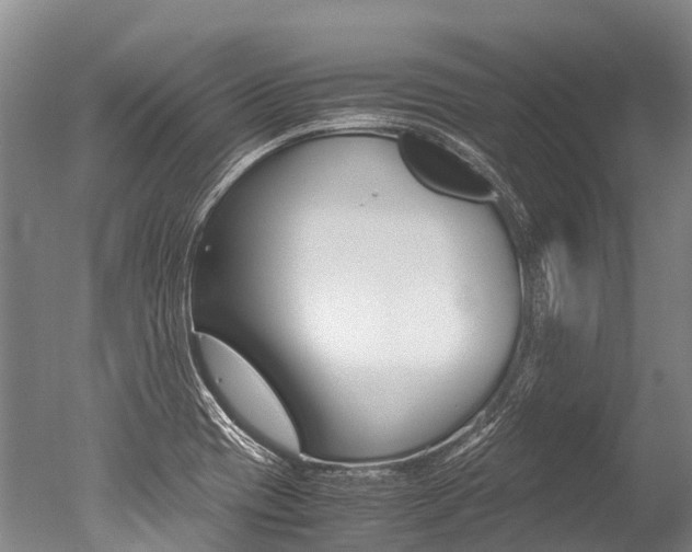 X0000051251417200506170830