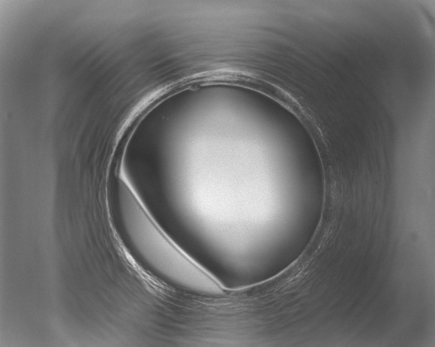 X0000051251418200506170830