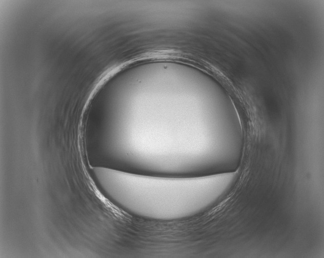 X0000051251421200506170830