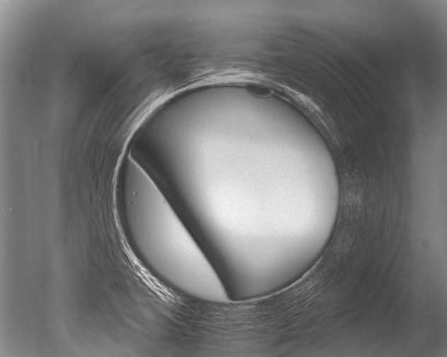 X0000051251423200506170830