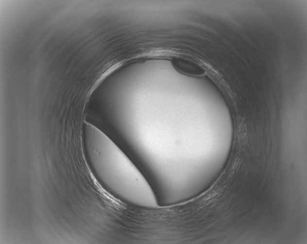 X0000051251425200506170830