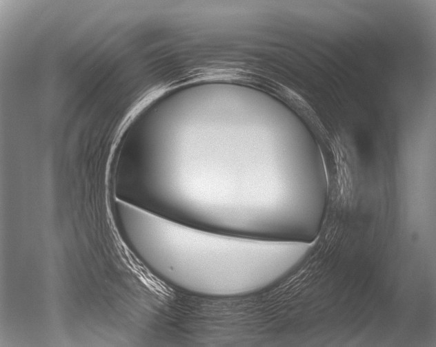 X0000051251427200506170830
