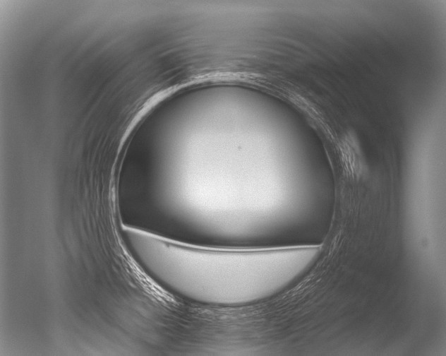 X0000051251428200506170830