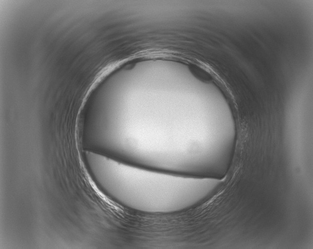 X0000051251429200506170830