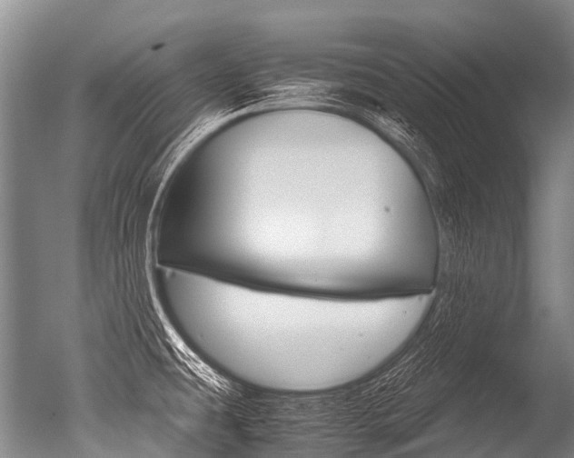 X0000051251431200506170830