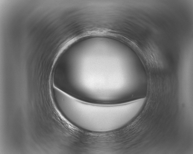 X0000051251432200506170830