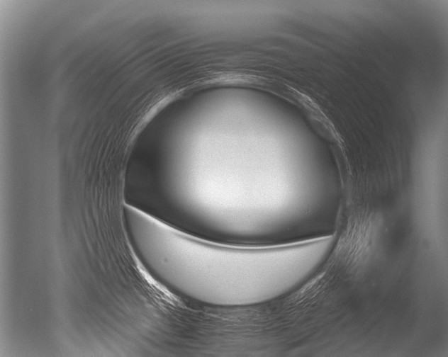 X0000051251433200506170830