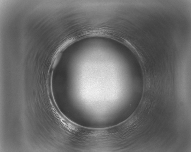 X0000051251434200506170830