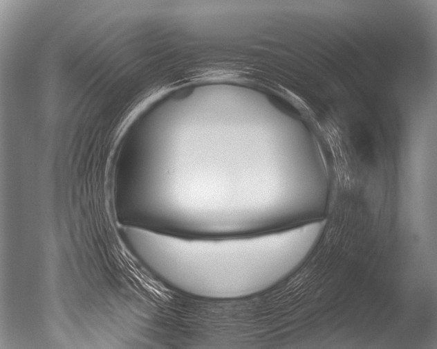 X0000051251435200506170830